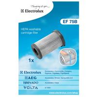 Motorni filter Electrolux EF75B
