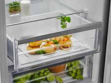 Prostostoječi hladilnik Electrolux LNT7ME32M1